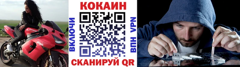продажа наркотиков  Гдов  COCAIN Fish Scale 