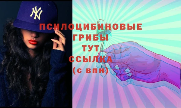spice Алексеевка