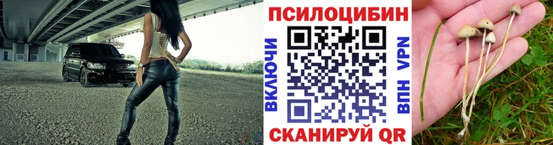 Псилоцибиновые грибы MAGIC MUSHROOMS  Гдов 